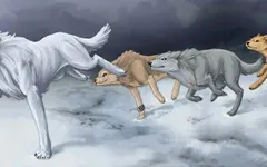 What Anime Wolf Are You? What Anime Wolf Are You?