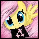 So Do You Know Fluttershy? So Do You Know Fluttershy?
