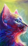 What color of cat are you? (1) What color of cat are you? (1)
