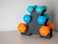 Bodyweight Exercises Quiz Bodyweight Exercises Quiz
