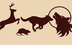 which marauders is your match? which marauders is your match?