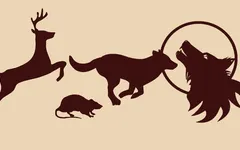 which marauders is your match? which marauders is your match?