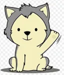 Are you a husky lover? Are you a husky lover?