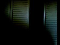 What role would you play in a horror movie? (1) What role would you play in a horror movie? (1)