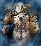 What is your spirit animal? (14) What is your spirit animal? (14)