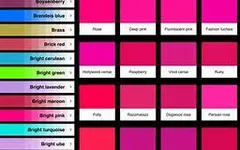 Which Color Are You? (2) Which Color Are You? (2)
