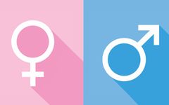 Can I guess your gender? (3) Can I guess your gender? (3)