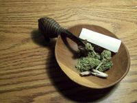 Test Your Knowledge About Marijuana Test Your Knowledge About Marijuana