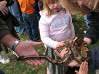 Fun with Python Fun with Python