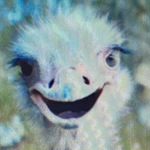 O-pi-nions like mine? O-pi-nions like mine?