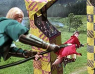 Harry Potter- What position are you in quidditch? Harry Potter- What position are you in quidditch?