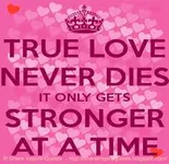 Which romance movie would be best for your Valentine's Day? Which romance movie would be best for your Valentine's Day?