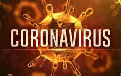 How much do you know about the Coronavirus? How much do you know about the Coronavirus?