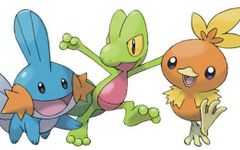 Which Hoenn starter should you pick? Which Hoenn starter should you pick?