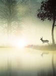 Do you like nature? Do you like nature?