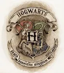 The Offical Sorting Hat...2! The Offical Sorting Hat...2!