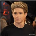 Niall Horan Niall Horan