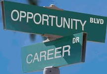 What is your Future Career? What is your Future Career?