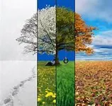 Which Season are you? (1) Which Season are you? (1)