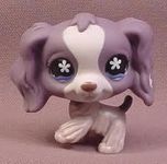 how well do you know you lps how well do you know you lps