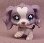 how well do you know you lps how well do you know you lps