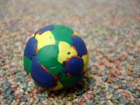 What's Your Sports Personality? (2) What's Your Sports Personality? (2)