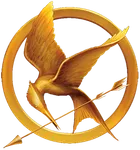 who are you from hunger games who are you from hunger games