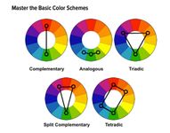 Discover Your Complementary Color Personality (2) Discover Your Complementary Color Personality (2)