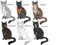 What warrior cat are you? (3) What warrior cat are you? (3)