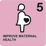 Goal 5- IMPROVE MATERNAL HEALTH Goal 5- IMPROVE MATERNAL HEALTH