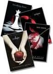What do you know about the first twilight? What do you know about the first twilight?