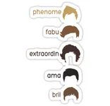 Ce fel de directionera esti? [Romana]