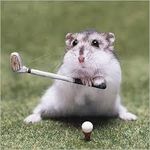 What is your spirit animal? (8) What is your spirit animal? (8)