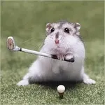 What is your spirit animal? (8) What is your spirit animal? (8)