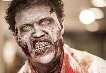 Could you survive a zompie apocolypse? Could you survive a zompie apocolypse?