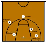 Basketball Positions Quiz (1) Basketball Positions Quiz (1)