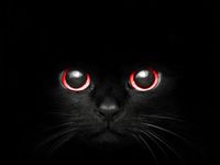 Warriors cat names part 2 Warriors cat names part 2
