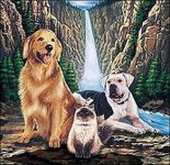 help the animals! help the animals!
