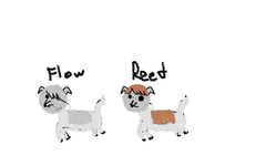 what wolfs of the island pack are you what wolfs of the island pack are you
