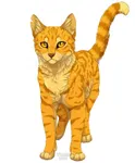 how well do you know Firestar from warriors? how well do you know Firestar from warriors?