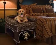 Dog accesories designer Dog accesories designer