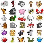 what animal are you? what animal are you?