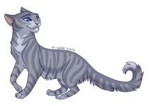 Warrior Cats- What Phropecy Cat are you? Warrior Cats- What Phropecy Cat are you?