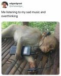 Animal memes 2. Animal memes 2.
