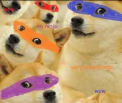 Late Night With ClusterFucks Anniversary Quiz ! Late Night With ClusterFucks Anniversary Quiz !