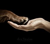 What is Unconditional Love? What is Unconditional Love?