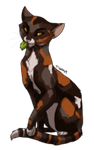 What ThunderClan Medicine Cat Are You? (Warriors) What ThunderClan Medicine Cat Are You? (Warriors)
