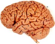 Eres inteligente? Eres inteligente?