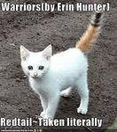 what cat clan are you in?? what cat clan are you in??