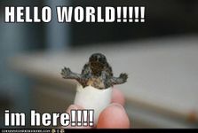 Hello world! Hello world!